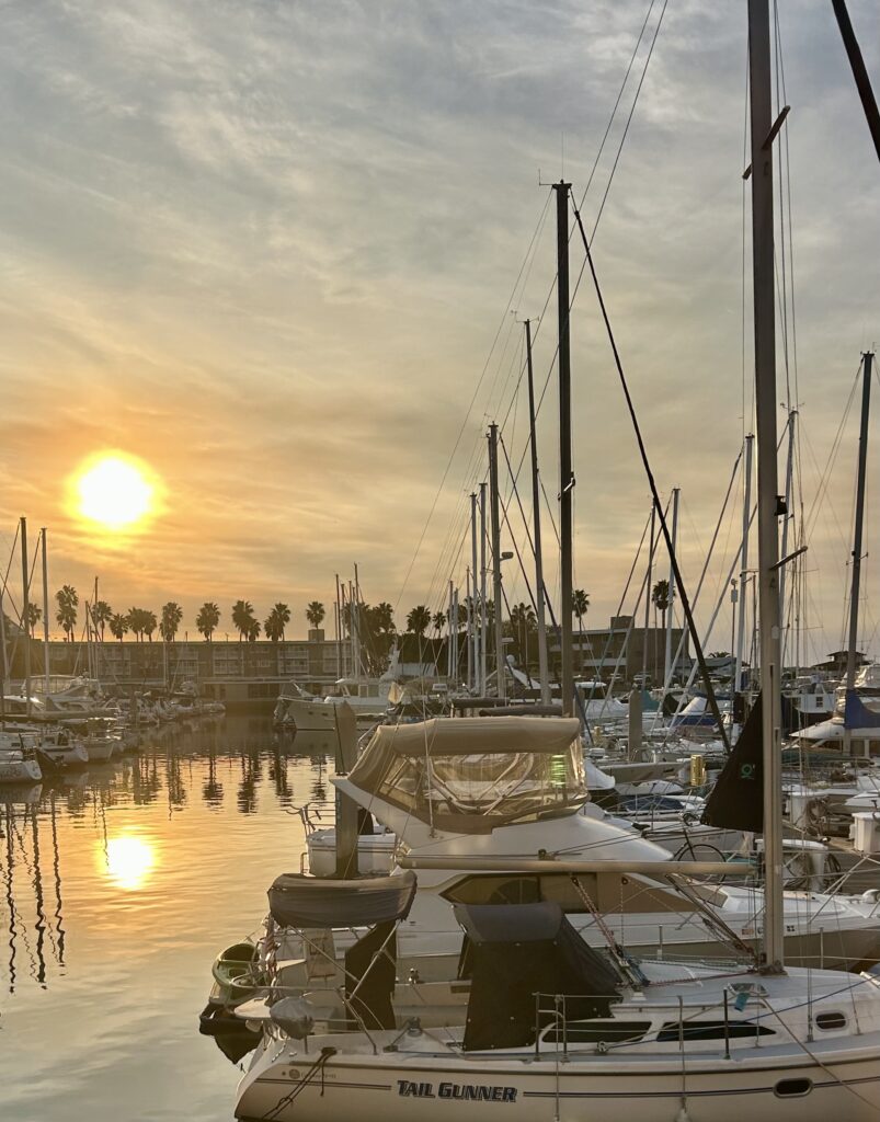 2025 February Photo of the Month Winner