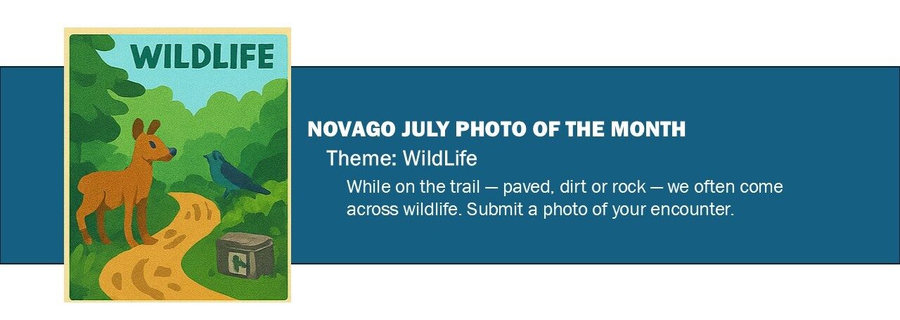 07 Photo of the Month-July